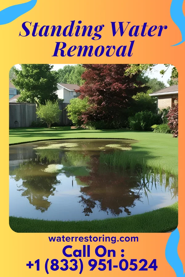 Standing Water Removal in Atlantic City, NJ